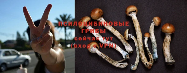 кокс Пестово