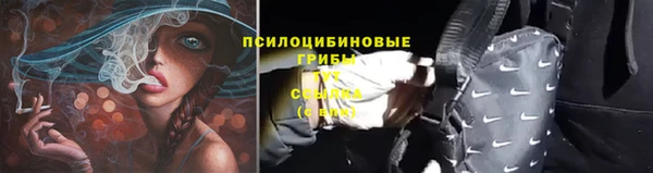 mix Гусиноозёрск