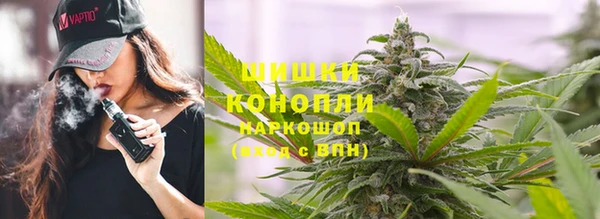 mix Гусиноозёрск