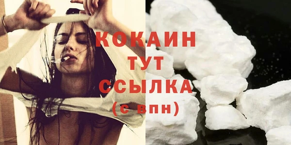 гашик Гусь-Хрустальный